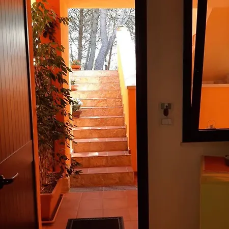 Sole Del Mediterraneo *