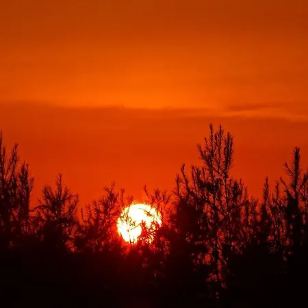 Κατάλυμα σε φάρμα Sole Del Mediterraneo