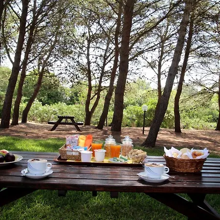 Sole Del Mediterraneo